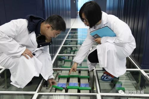 打造通信網絡“千里眼” 通訊設備修理的核心價值與技術實踐